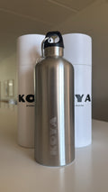 Stainless Steel Bottle